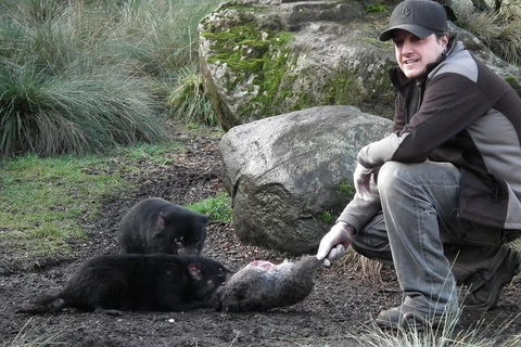 After Dark Tasmanian Devil Feeding Tour At Cradle Mountain - Local Tourism 2