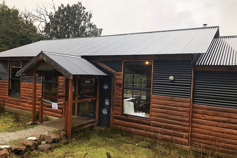 After Dark Tasmanian Devil Feeding Tour At Cradle Mountain - Local Tourism 3