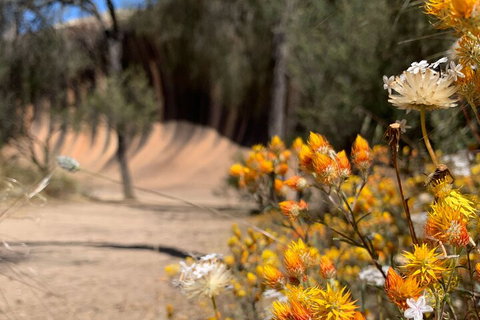 The Big Wave Rock (Private) Day Tour - Accommodation Australia 3