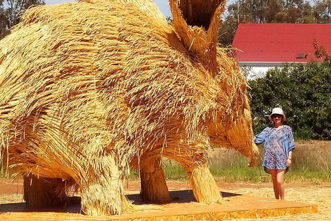The Big Wave Rock (Private) Day Tour - Accommodation Australia 5
