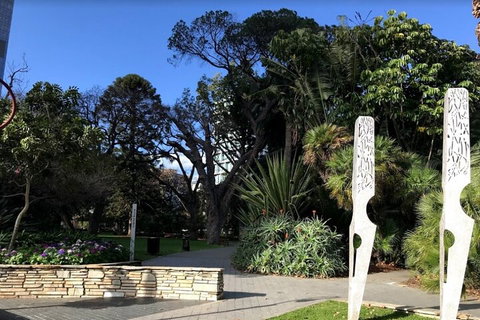Perth Scavenger Hunt: Perched On A Swan - Accommodation Australia 2