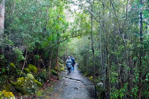 Kunanyi/Mt Wellington Tour & Hobart Hop-On Hop-Off Bus - Accommodation Australia 1