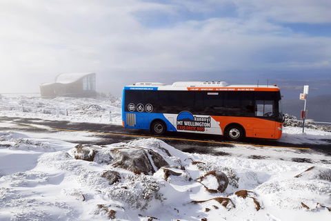 Kunanyi/Mt Wellington Tour & Hobart Hop-On Hop-Off Bus - Accommodation Australia 2
