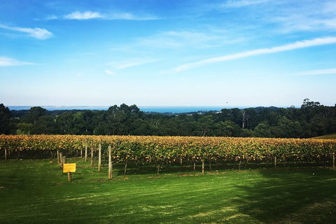 Yarra Valley Private Car Winery Tour And Chocolate.1-7 Passengers One Car Price - Accommodation Australia 0