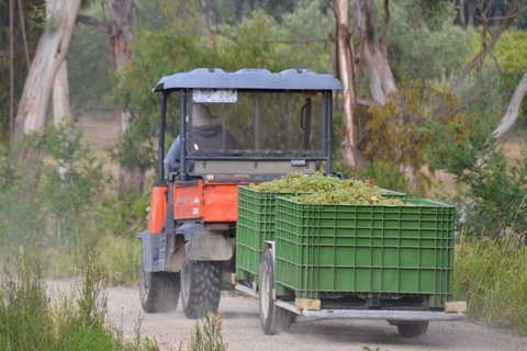 Yarra Valley Private Car Winery Tour And Chocolate.1-7 Passengers One Car Price - Accommodation Australia 1