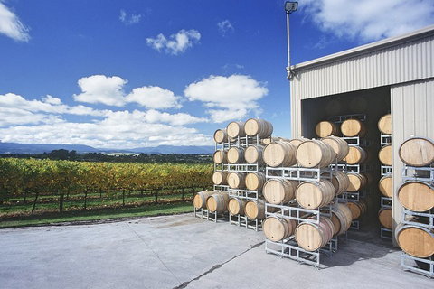 Yarra Valley Private Car Winery Tour And Chocolate.1-7 Passengers One Car Price - Accommodation Australia 2