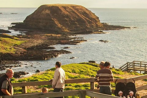 Healesville Sanctuary And Phillip Island Wildlife Bus Tour - Local Tourism 3
