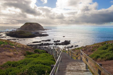 Healesville Sanctuary And Phillip Island Wildlife Bus Tour - Local Tourism 5