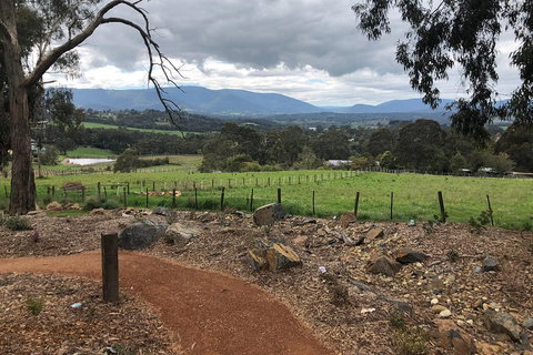 Yarra Valley Wine Tour Inc Lunch With A Glass Of Wine, Tastings And Chocolate - Accommodation Australia 0
