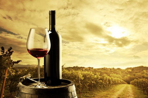 Barossa Valley Cellar Doors Luxury Wine Tour - Local Tourism 0