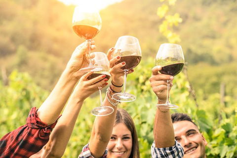 Barossa Valley Cellar Doors Luxury Wine Tour - Local Tourism 1