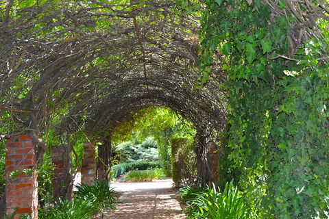Barossa Valley Cellar Doors Luxury Wine Tour - Local Tourism 3