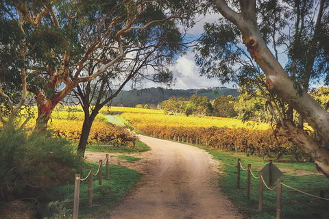 McLaren Vale Winery Small Group Tour With Wine Tasting And Lunch - Australia Shopping 1