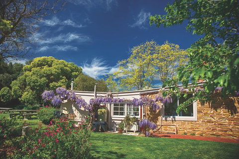 McLaren Vale Winery Small Group Tour With Wine Tasting And Lunch - Australia Shopping 2