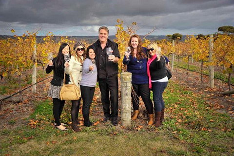 McLaren Vale Winery Small Group Tour With Wine Tasting And Lunch - Australia Shopping 3