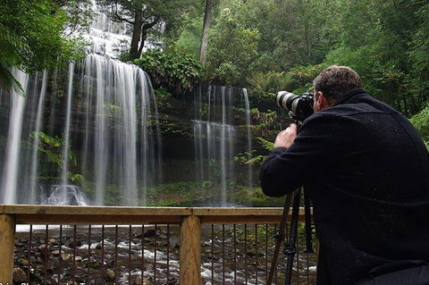Mt Field And Styx Valley Photography Tour - Accommodation Australia 0