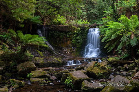 Mt Field And Styx Valley Photography Tour - Accommodation Australia 3
