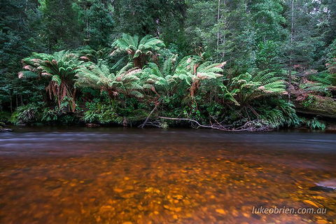 Mt Field And Styx Valley Photography Tour - Accommodation Australia 4