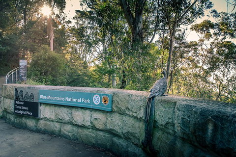Ultimate Blue Mountains Waterfalls, Walks & Sunset PRIVATE Tour - Australia Shopping 3