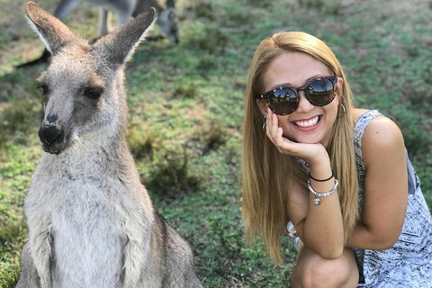 PJ Blue Mountains Supreme Day Tour - Accommodation Australia 2
