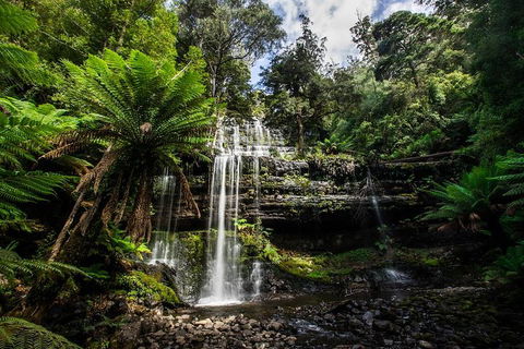 3-Day Tour To The Falls, Mountains, Lake & More Of West Coast Tasmania - Accommodation Australia 4