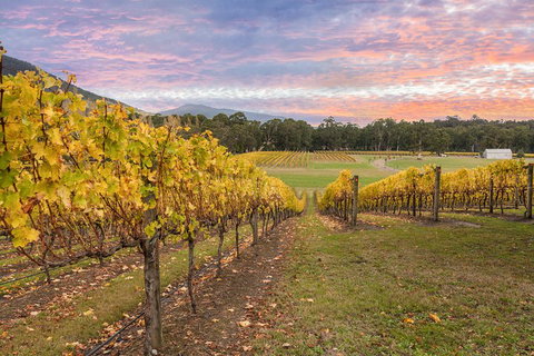 Yarra Valley Boutique Winery Tour From Melbourne - Accommodation Australia 3