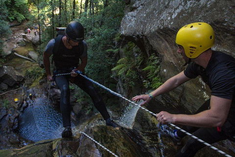 Blue Mountains Empress Canyon Adventure From Wentworth Falls - Local Tourism 2