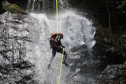 Blue Mountains Empress Canyon Adventure From Wentworth Falls - Local Tourism 3