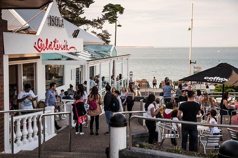 Phillip Island And French Island Wildlife Expedition - Australia Shopping 0