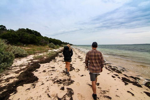 Phillip Island And French Island Wildlife Expedition - Australia Shopping 1
