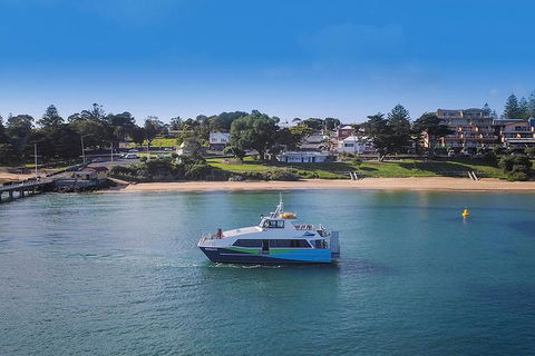 Phillip Island And French Island Wildlife Expedition - Australia Shopping 2