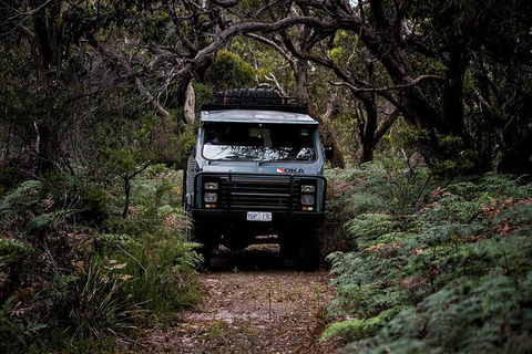 Phillip Island And French Island Wildlife Expedition - Australia Shopping 4