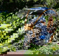 Adelaide 90-Minute Pedicab Tour Scenic Green  River Experience - Accommodation Australia