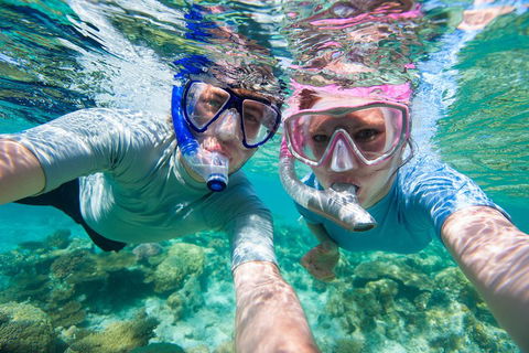 Whitehaven Beach And Hill Inlet Lookout Full-Day Snorkeling Cruise By High-Speed Catamaran - Accommodation Australia 2
