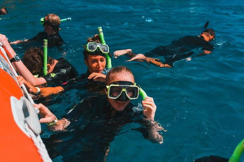 Whitehaven Beach And Hill Inlet Lookout Full-Day Snorkeling Cruise By High-Speed Catamaran - Accommodation Australia 3
