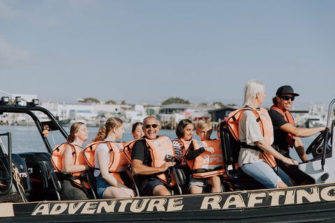 Adventure Whale Watching Tour Mooloolaba - Accommodation Australia 4