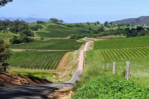 The Complete Hunter Valley Wine Tour Of Pokolbin, Mt View, Lovedale And Rothbury - Accommodation Australia 0
