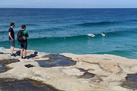 Sydney Secrets & Bondi Beach Private 4 Hr Morning With Personalised Sydney Tours - Accommodation Australia 2