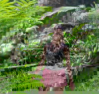 Full-Day Guided Hinterland Adventure Tour in Queensland - Local Tourism
