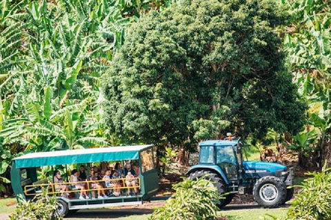 Tropical Fruit World With Wildlife Boat Cruise From Gold Coast - Accommodation Australia 1