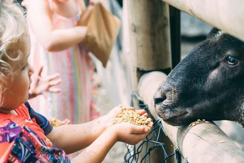 Tropical Fruit World With Wildlife Boat Cruise From Gold Coast - Accommodation Australia 5