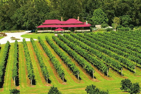 O'Reilly's & Lamington National Park From Brisbane - Local Tourism 2