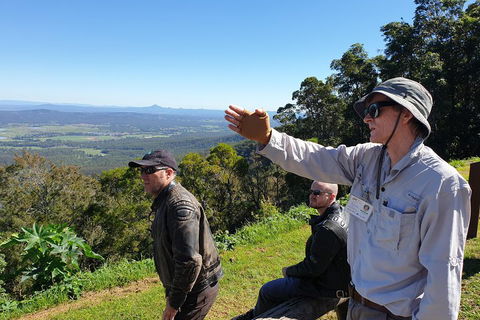 O'Reilly's & Lamington National Park From Brisbane - Local Tourism 4