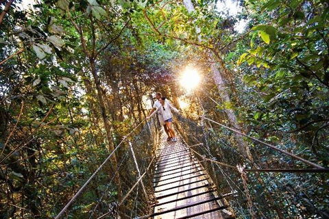 O'Reilly's & Lamington National Park From Brisbane - Local Tourism 5
