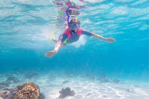 Lagoon Explorer - Ningaloo Reef Full-Day Kayaking And Snorkeling Adventure - Accommodation Australia 5