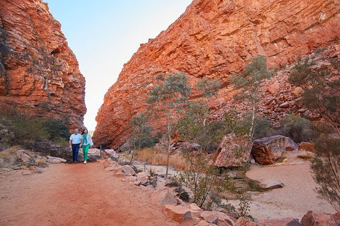 Best Of Alice Springs Full Day Tour - Accommodation Australia 1