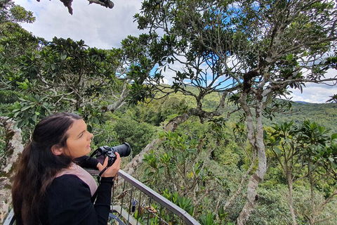 Lamington National Park, O'Reilly's & Vineyard Tour - Accommodation Australia 1