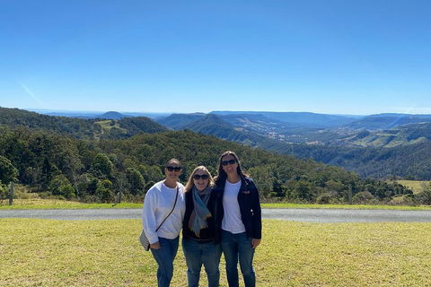 Lamington National Park, O'Reilly's & Vineyard Tour - Accommodation Australia 3