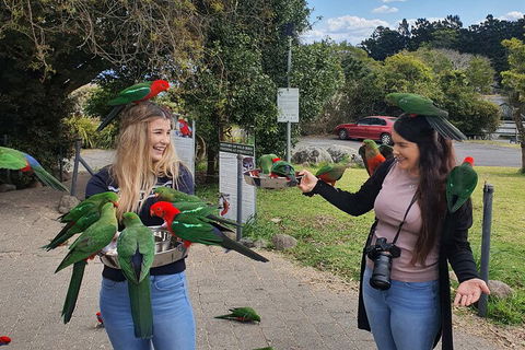 Lamington National Park, O'Reilly's & Vineyard Tour - Accommodation Australia 5