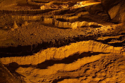 The Explorers' Discovery Tour - Gold, Wine & Wildlife - Accommodation Australia 0